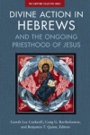 Divine Action in Hebrews - And the Ongoing Priesthood of Jesus